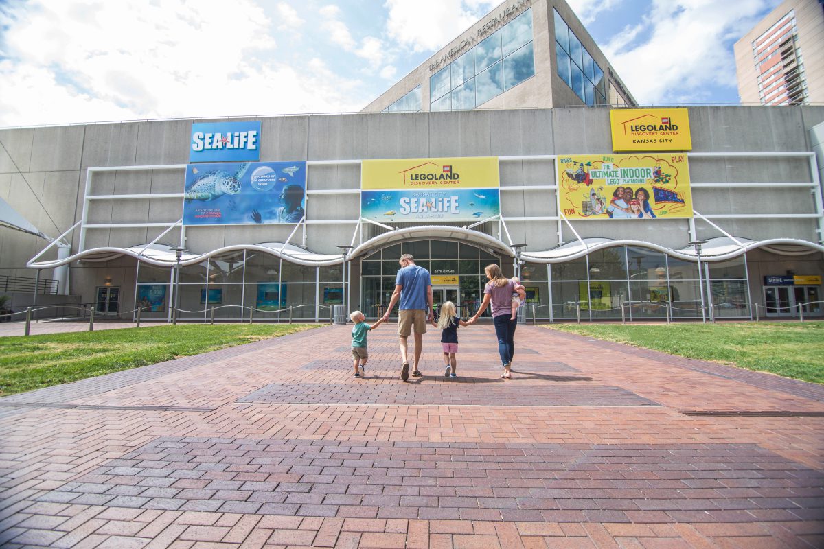 🐠 Dive Into Fun at SEA LIFE Kansas City Aquarium